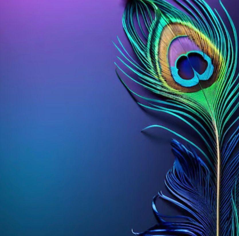 The Wedding Website of Takisha Jones and Tyrone Deans