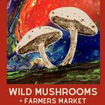 McCloud Mushroom Festival