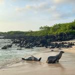 Islas Galápagos
