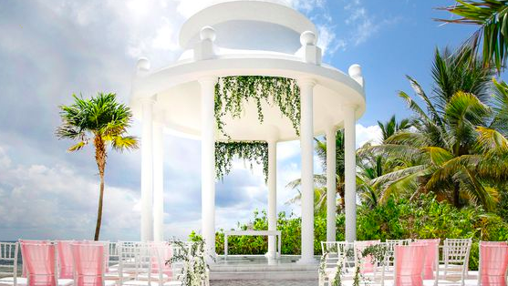 The Wedding Website of Johnise Bryant and Darius Wright-Tippins