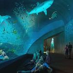 Gran Acuario