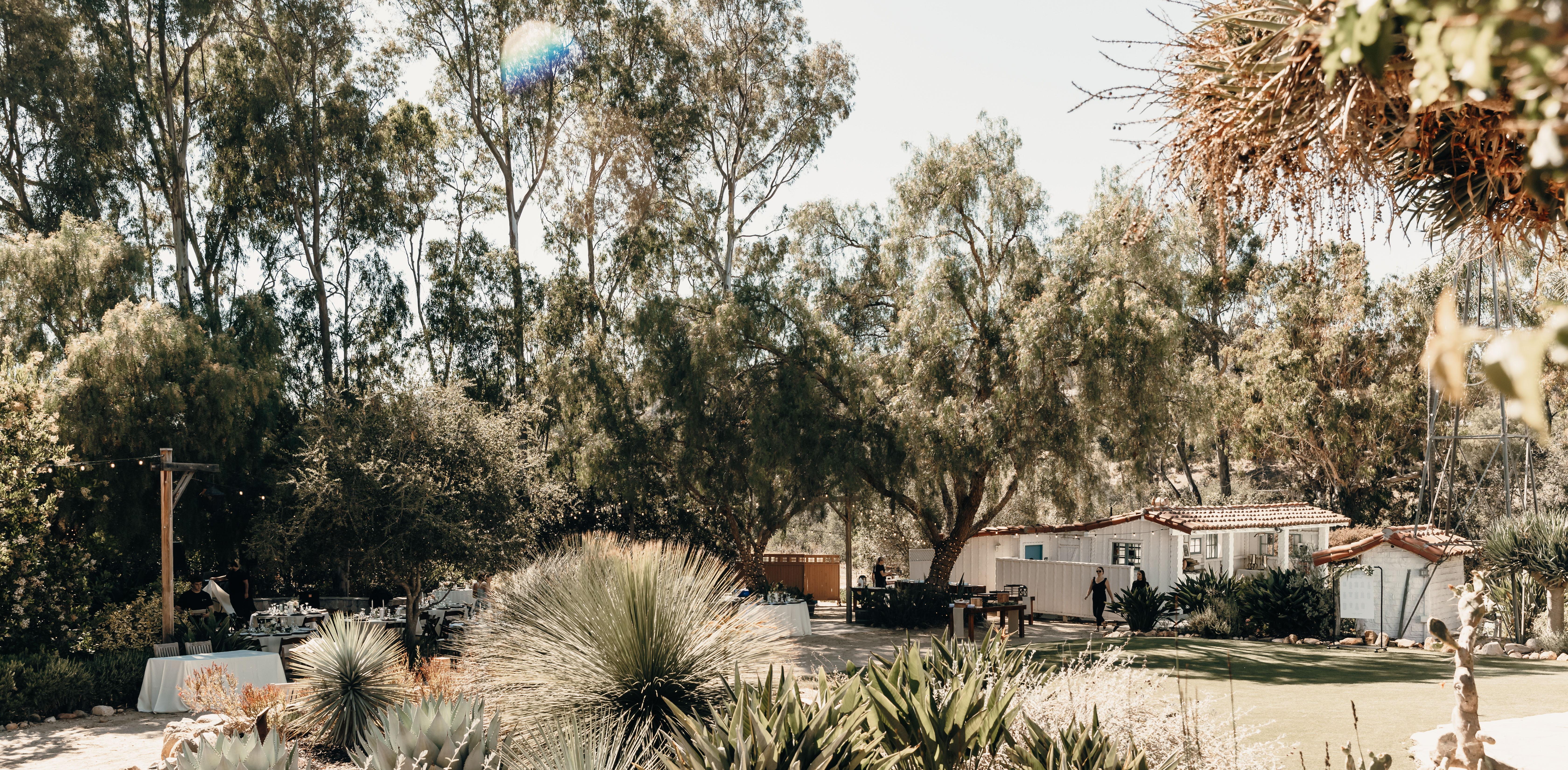 The Wedding Website of Katie Thompson and Aaron Cohen