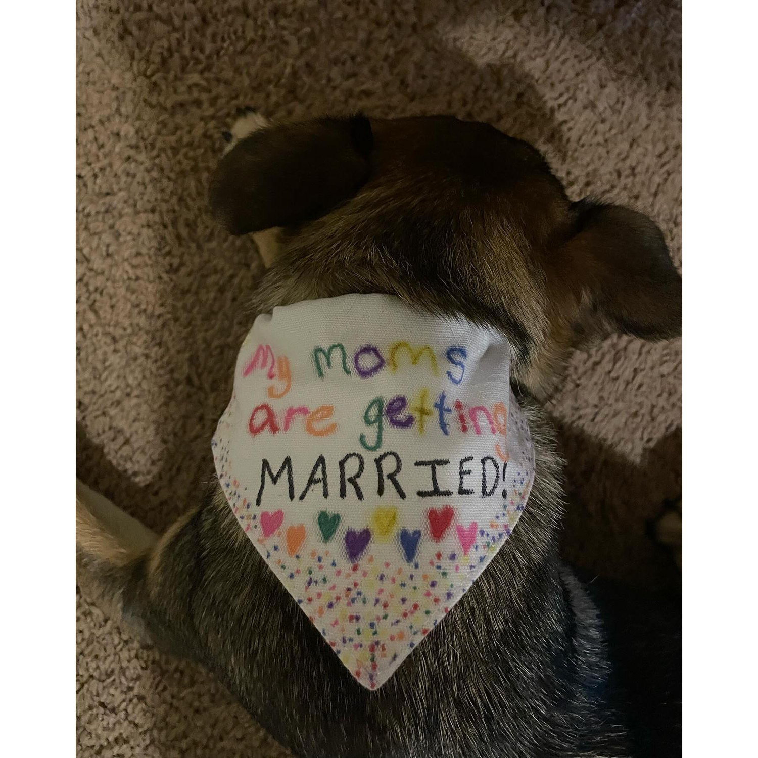 Winnie joined in the engagement festivities!