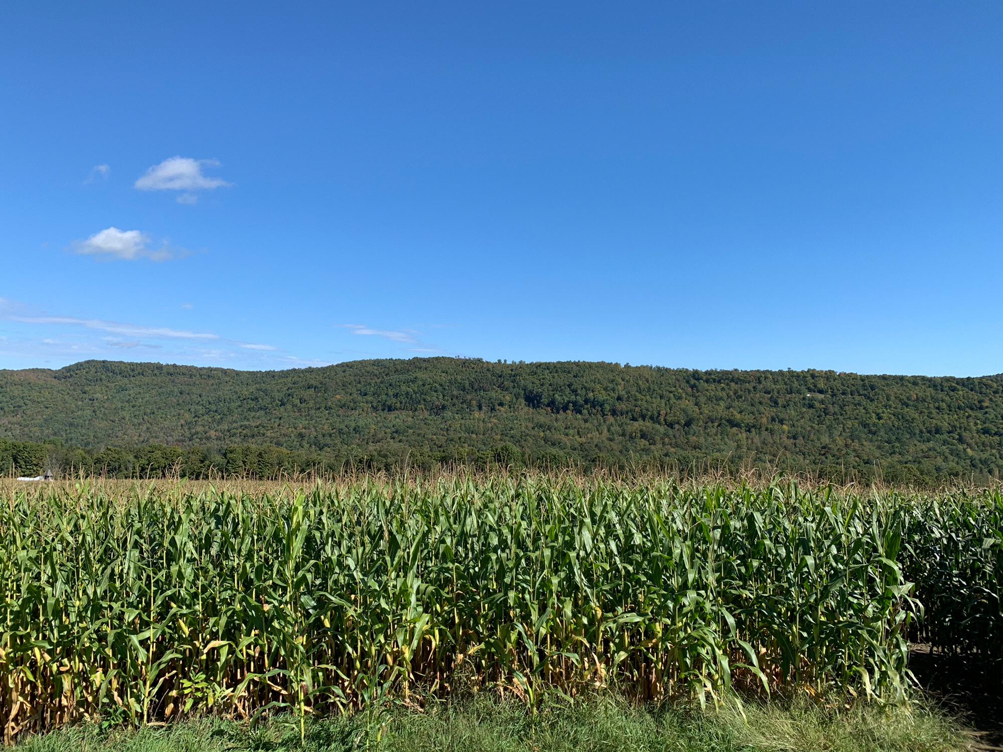 Danville, VT
