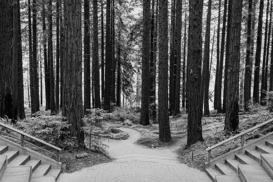 The Wedding Website of Valerie Neill and Chris Brown