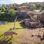 The Living Desert Zoo and Gardens