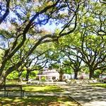 Audubon Park