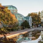 Brooklyn Botanic Garden