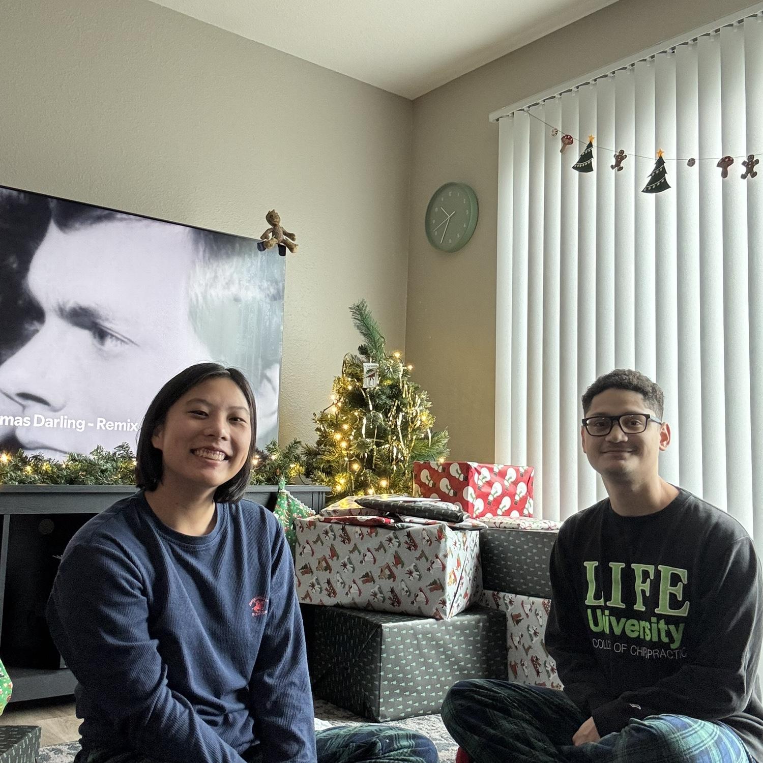 First apartment and christmas