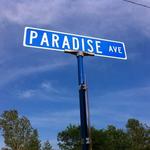 Paradise/The Matthews