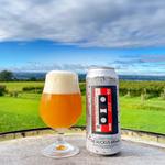 Aurora Brewing Company