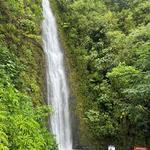 Mānoa Falls Trail