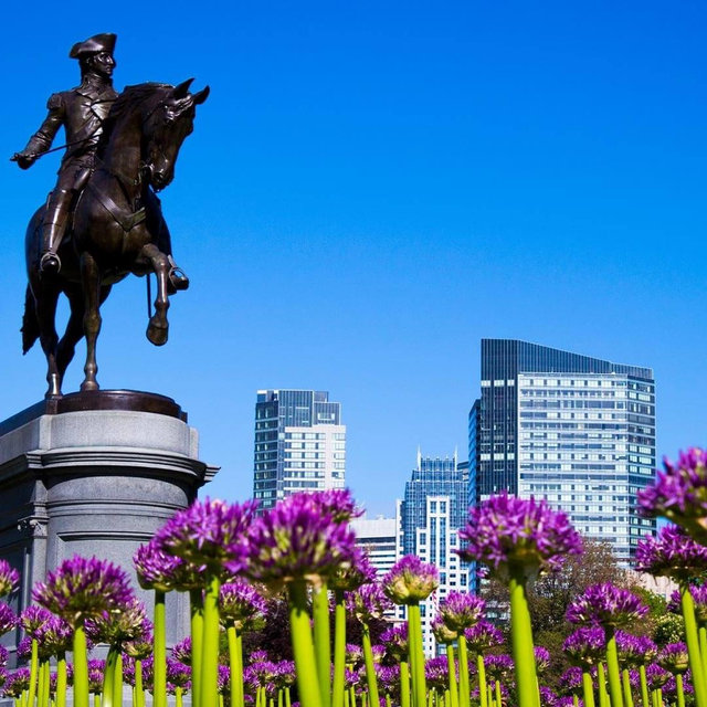 Moving to Boston