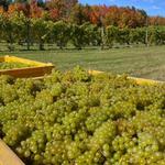 Leelanau Peninsula Wineries