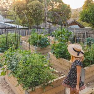 Garden Fund