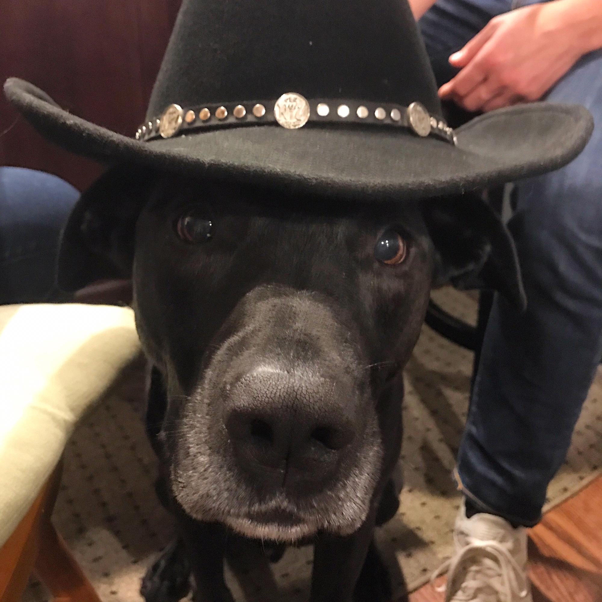 Cowboy