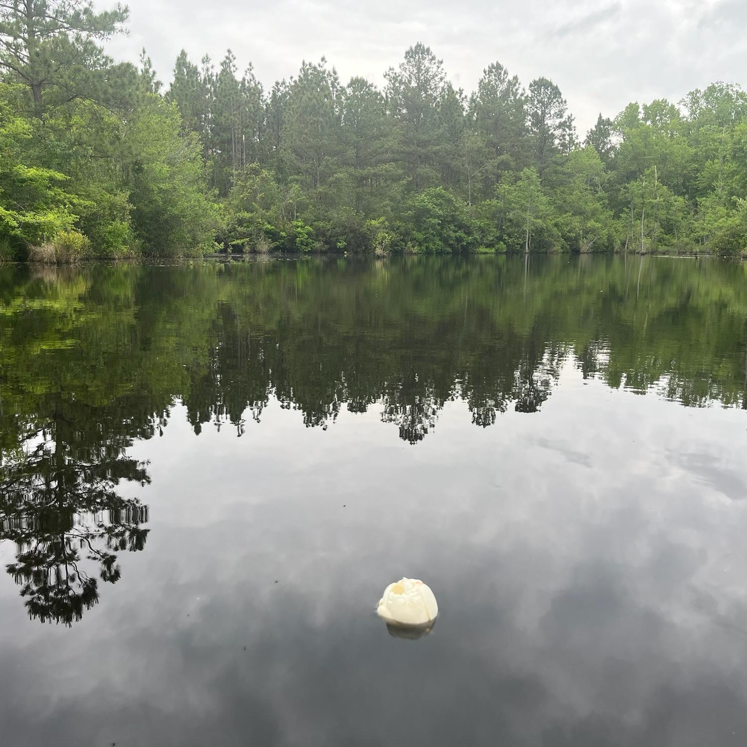 Ani released a large fragrant magnolia flower into her favorite body of water: the pond behind her grandpa’s house