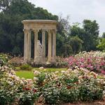 The Huntington Library, Art Museum, and Botanical Gardens