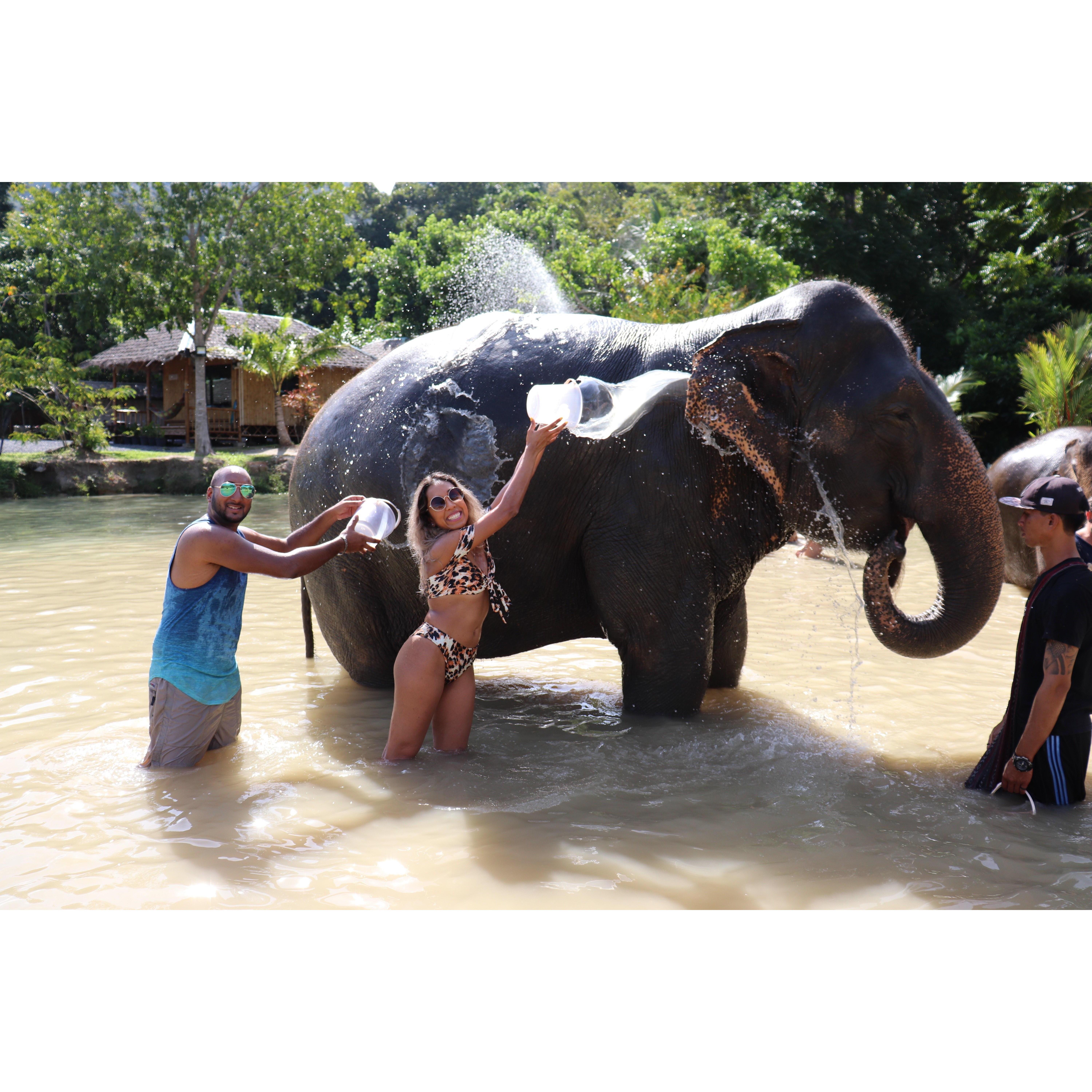 Showing our love and support at the Green Elephant Sanctuary in Phuket, Thailand.