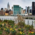 Gantry Plaza State Park