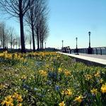 Battery Park