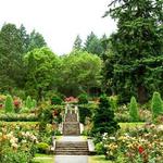 Portland Rose Test Garden