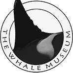 The Whale Museum