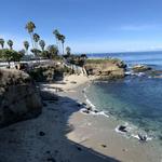 La Jolla Cove