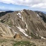 Sacajawea Peak Trail