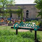 Colectivo Coffee - Lakefront Cafe