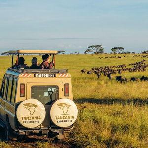 Safari Honeymoon Fund