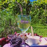 White Oak Lavender Farm & The Purple WOLF Tasting Room