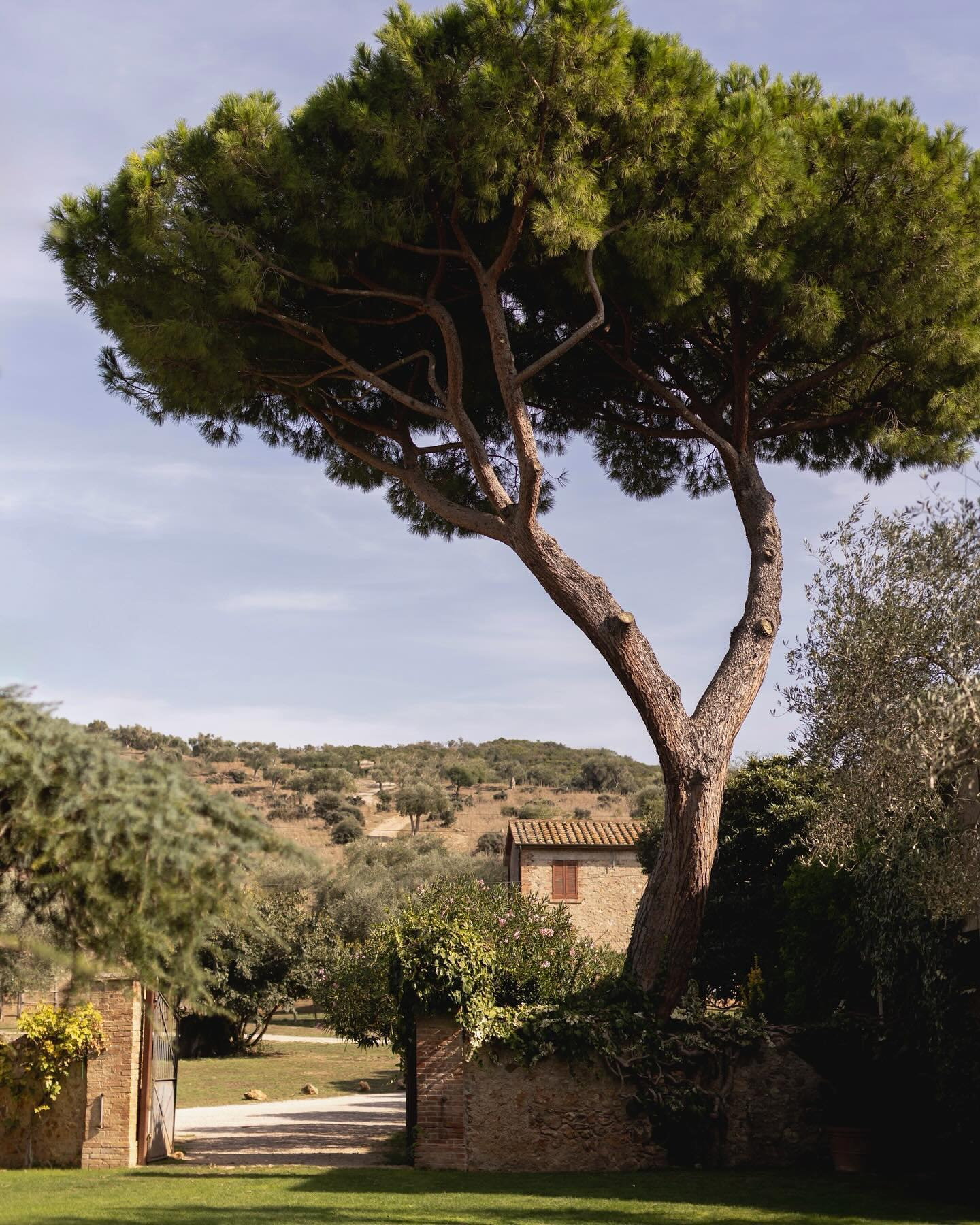 The Wedding Website of Sophie Levine and Keller Pilch