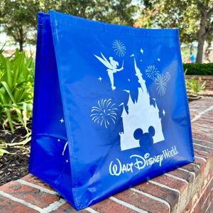 Walt Disney World Souvenirs