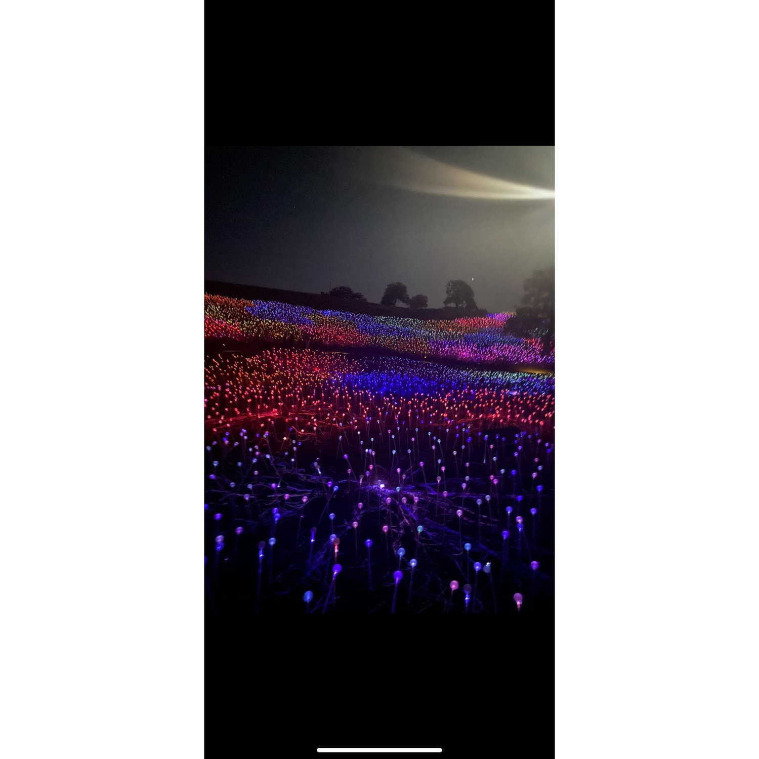 Sensorio lights