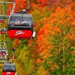Stowe Mountain Resort