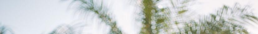 The Wedding Website of Anthony Hernandez and Cydney Wise