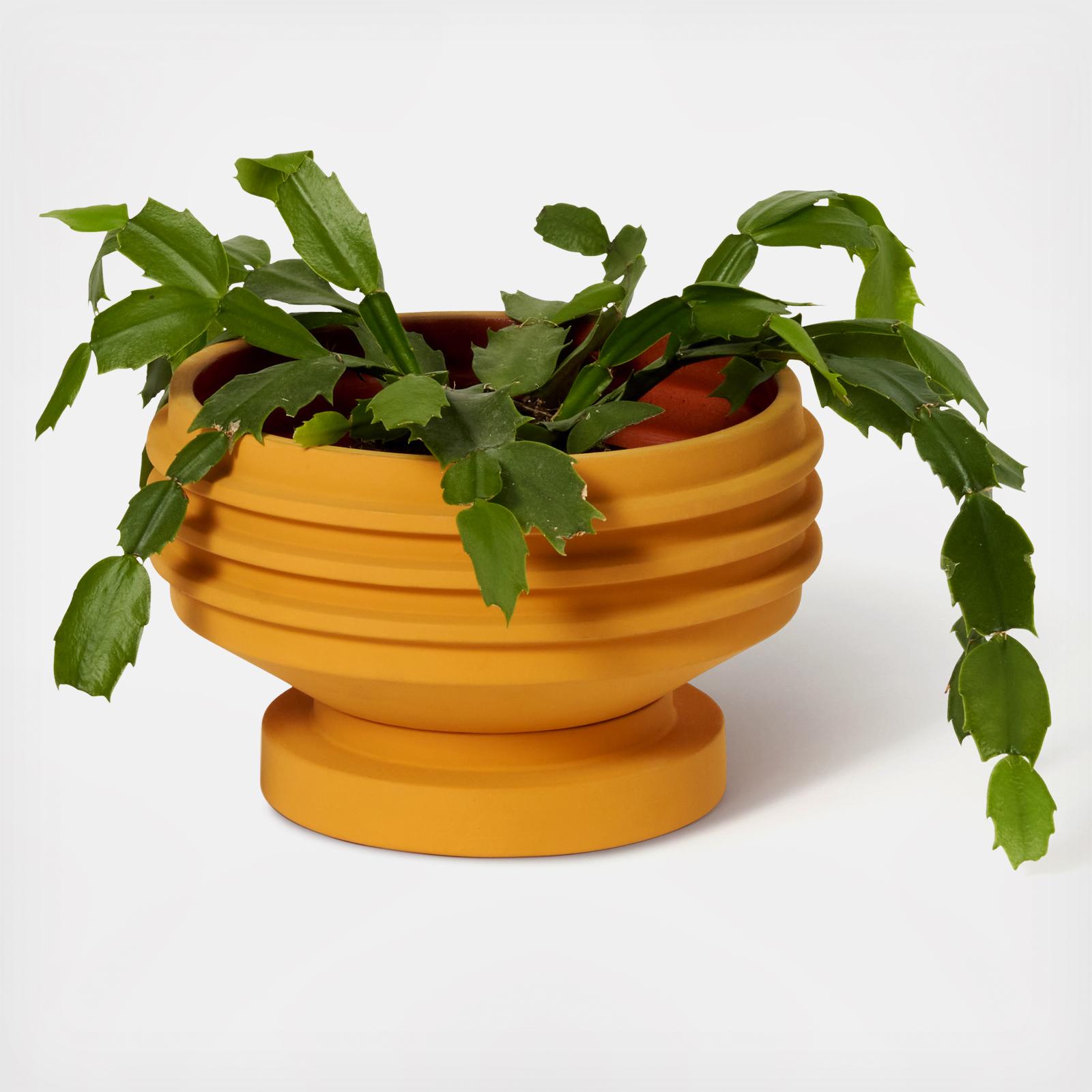 Strata Plant Vessel - Thumbnail 3