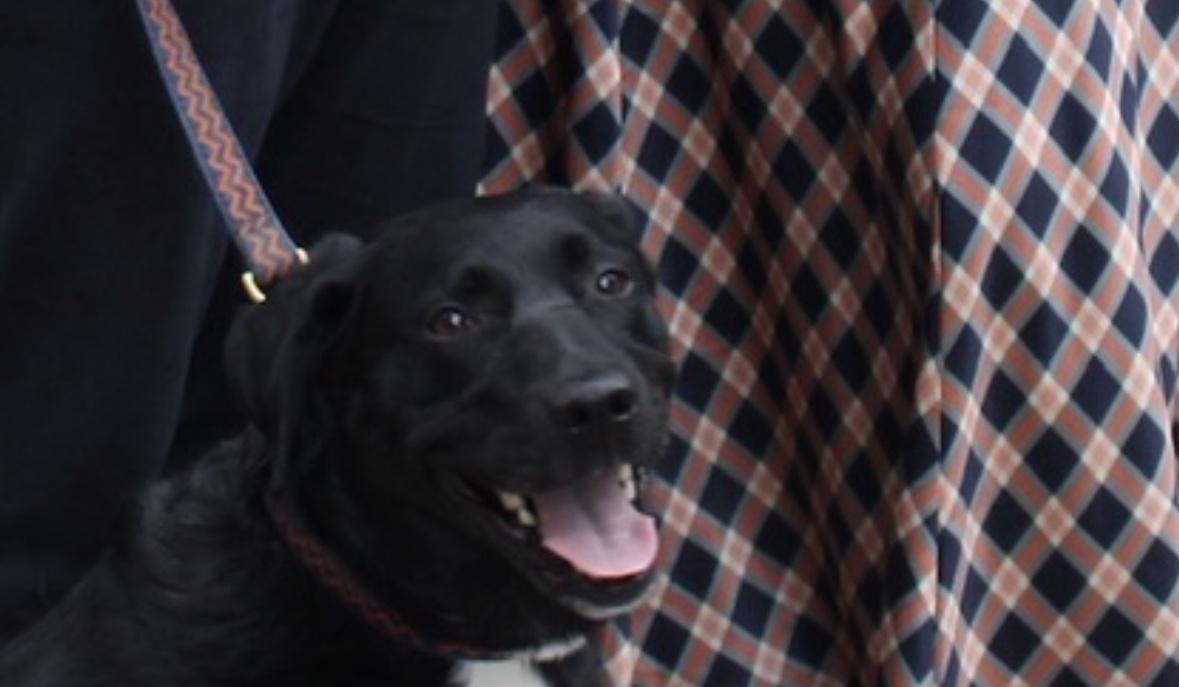 The Wedding Website of Ashley Dennis and Joseph Phalen