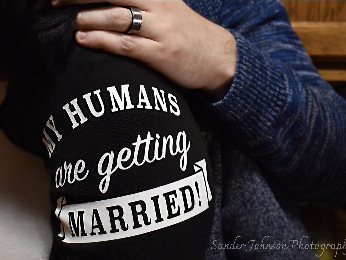 The Wedding Website of Jordan Knight and James Zappa