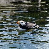 Oregon Coast Aquarium