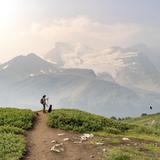 Hike Wilcox Pass