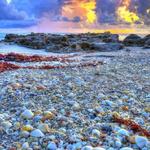 Coral Cove