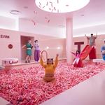 Museum of Ice Cream