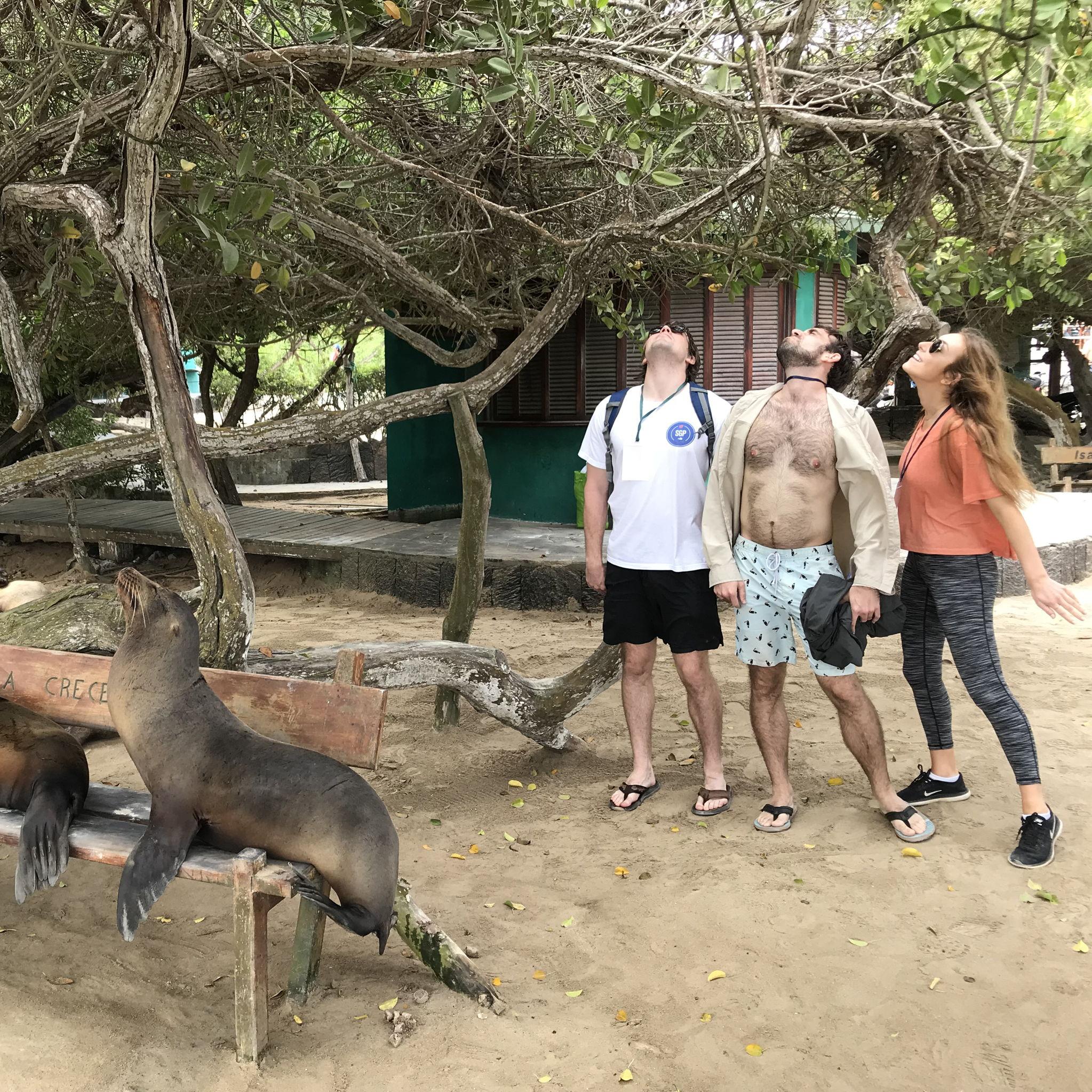 Galapagos - This playful Galápagos sea lion made new friends instantly. The three DeRos connected with him right away.