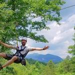 Canopy Ridge Farm