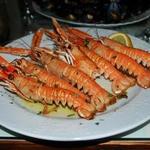 Trattoria Bajamont