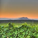 Edna Valley, California