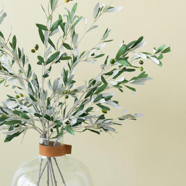 Olive Stem