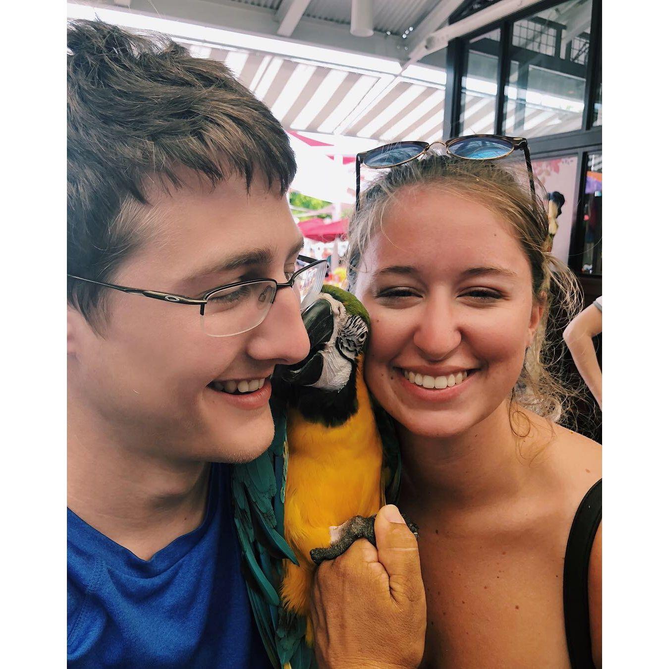 Anniversary trip to Miami